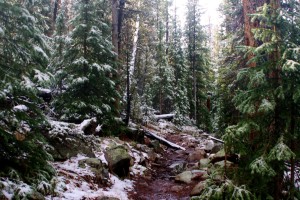 Snow on the Trail