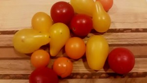 tomatoes